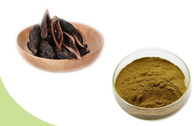 Areca catechu extract price