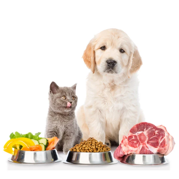 Dogs-and-cats-are-what-they-eat-too-01