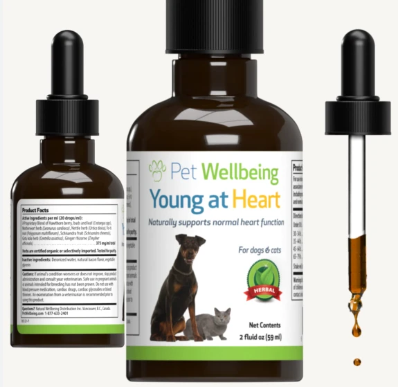 Nettle powder for dogs Nettle powder for dogs