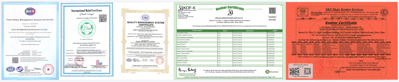 Organic Chicory Root Inulin Powder Suppliers 10-30g free samples Organic Chicory Root Inulin Powder Suppliers 10-30g free samples