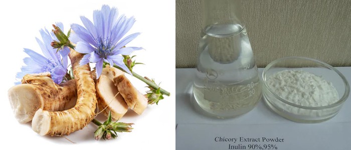 Organic chicory root inulin powder Organic chicory root inulin powder