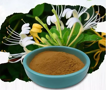 Bulk honeysuckle extract powder Bulk honeysuckle extract powder