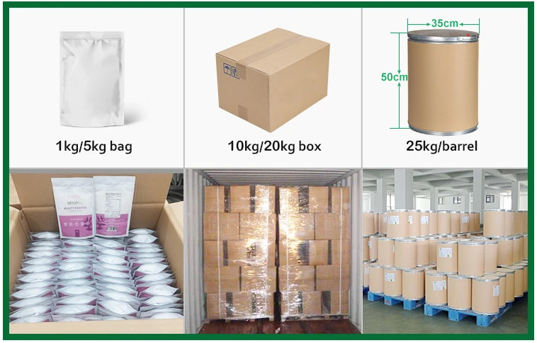 Sea kelp powder bulk Sea kelp powder bulk