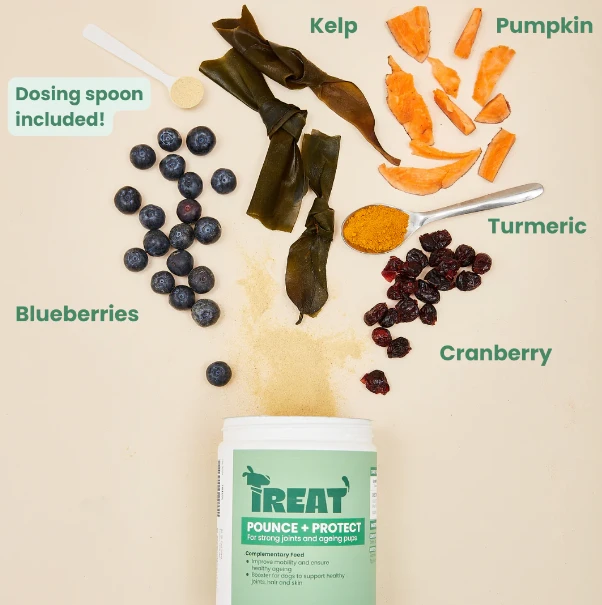 Sea kelp powder bulk Sea kelp powder bulk