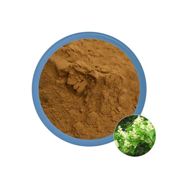Tripterygium ekstraktas