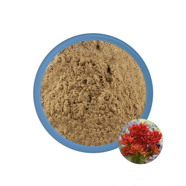 Rhodiola Rosea birūs milteliai